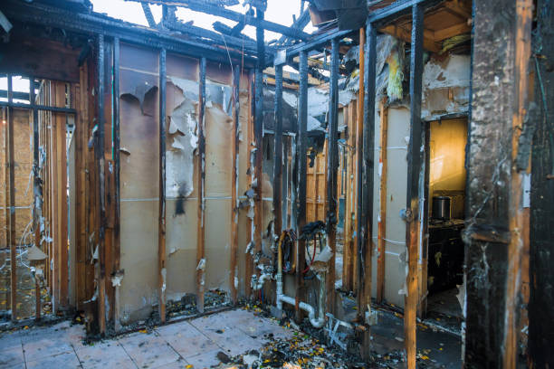 Professional Fire Damage Removal technician working in North Star, DE